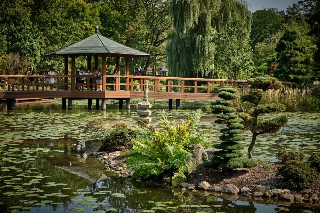 Park Szczytnicki we Wrocławiu - zdjęcie główne
